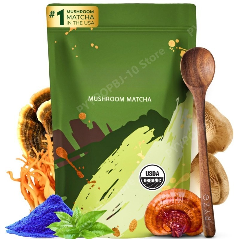 Lion Mane Mushroom - 유기농 버섯 말차 보충제 (영지버섯, 사자갈기버섯