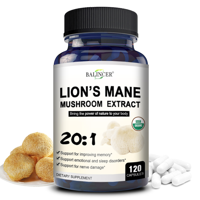Lion Mane Mushroom - 사자 갈기 - 두뇌 기억력 향상