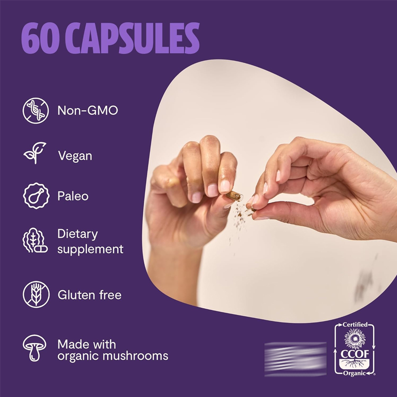 사자갈기버섯 보충제 캡슐 14000mg - 사자갈기버섯 - Lion Mane Mushroom 리뷰 및 가격