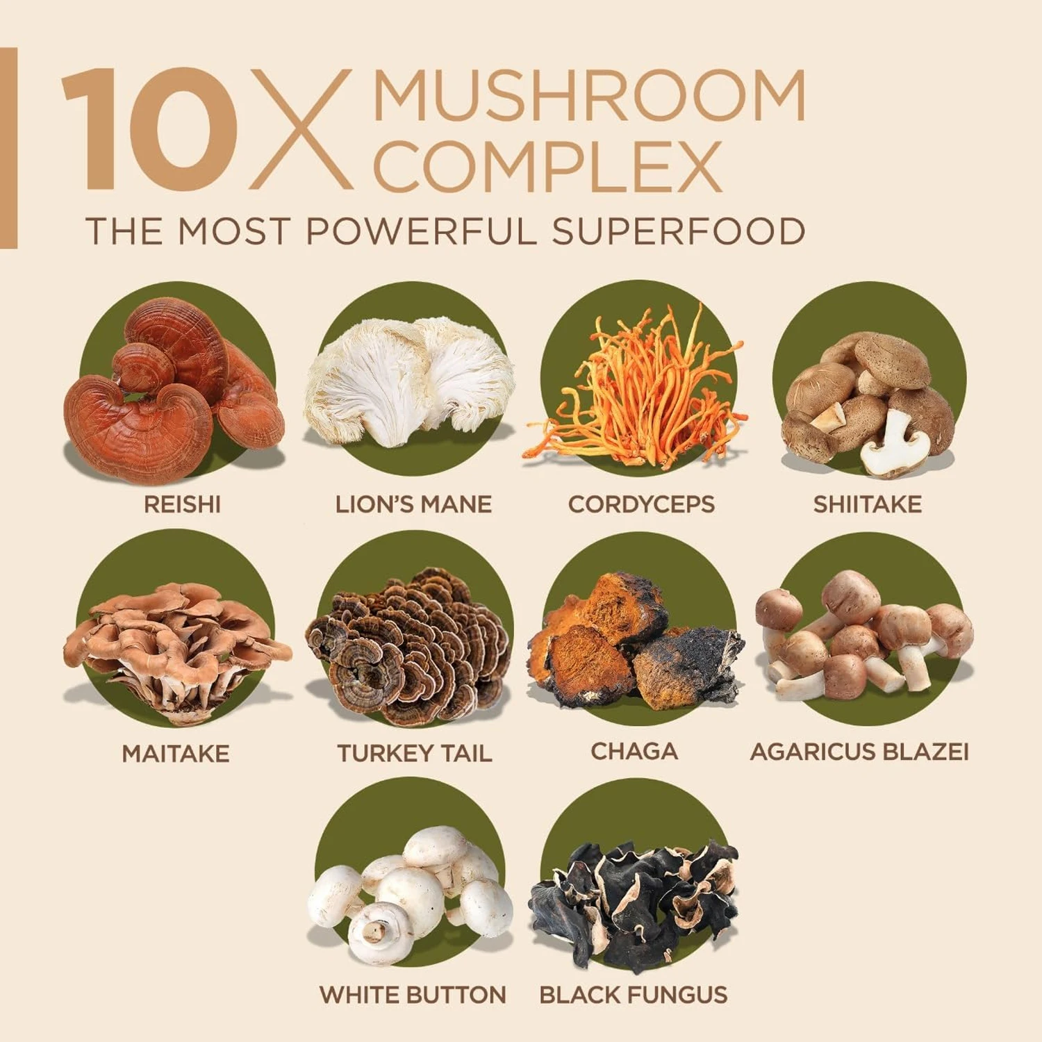 사자갈기버섯, 차가버섯 함유 10배 강화 버섯 복합 캡 - Lion Mane Mushroom 리뷰 및 가격
